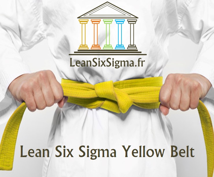 Lean-Six-Sigma-Certification-formation-Yellow Belt - Lean Six Sigma Belgium