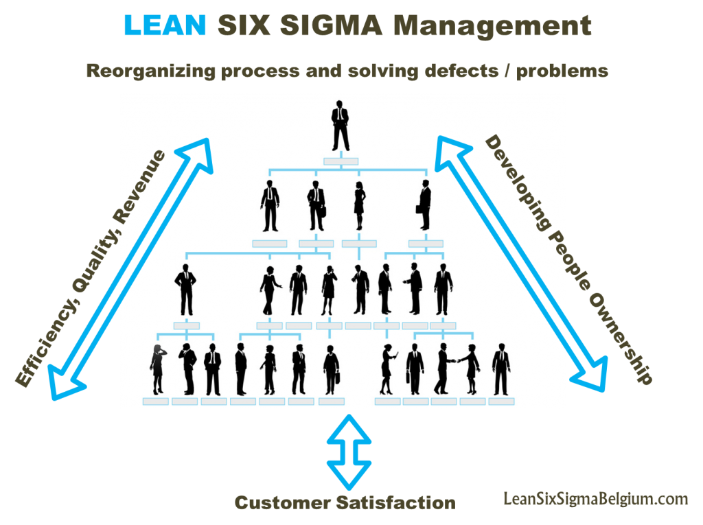 Lean Six Sigma Management