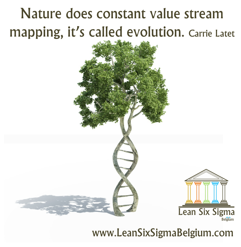 Continuous Improvement Quote - Nature does constant value stream mapping, it’s called evolution. Carrie Latet