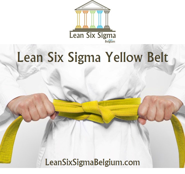 Lean Six Sigma Yellow Belt Opleiding And Cursus In Brussel België 